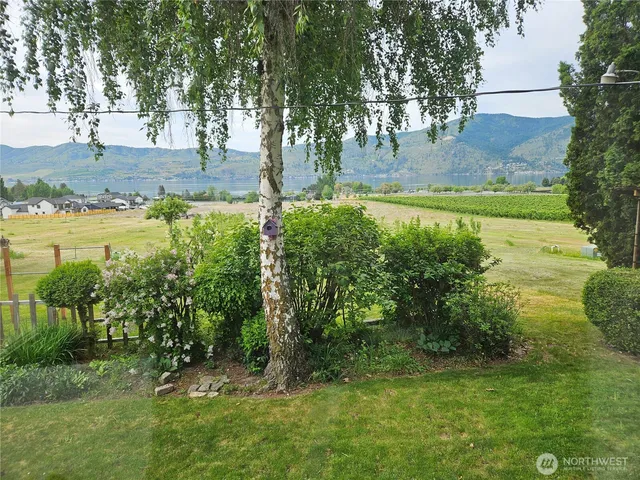 a view of a yard with plants and trees