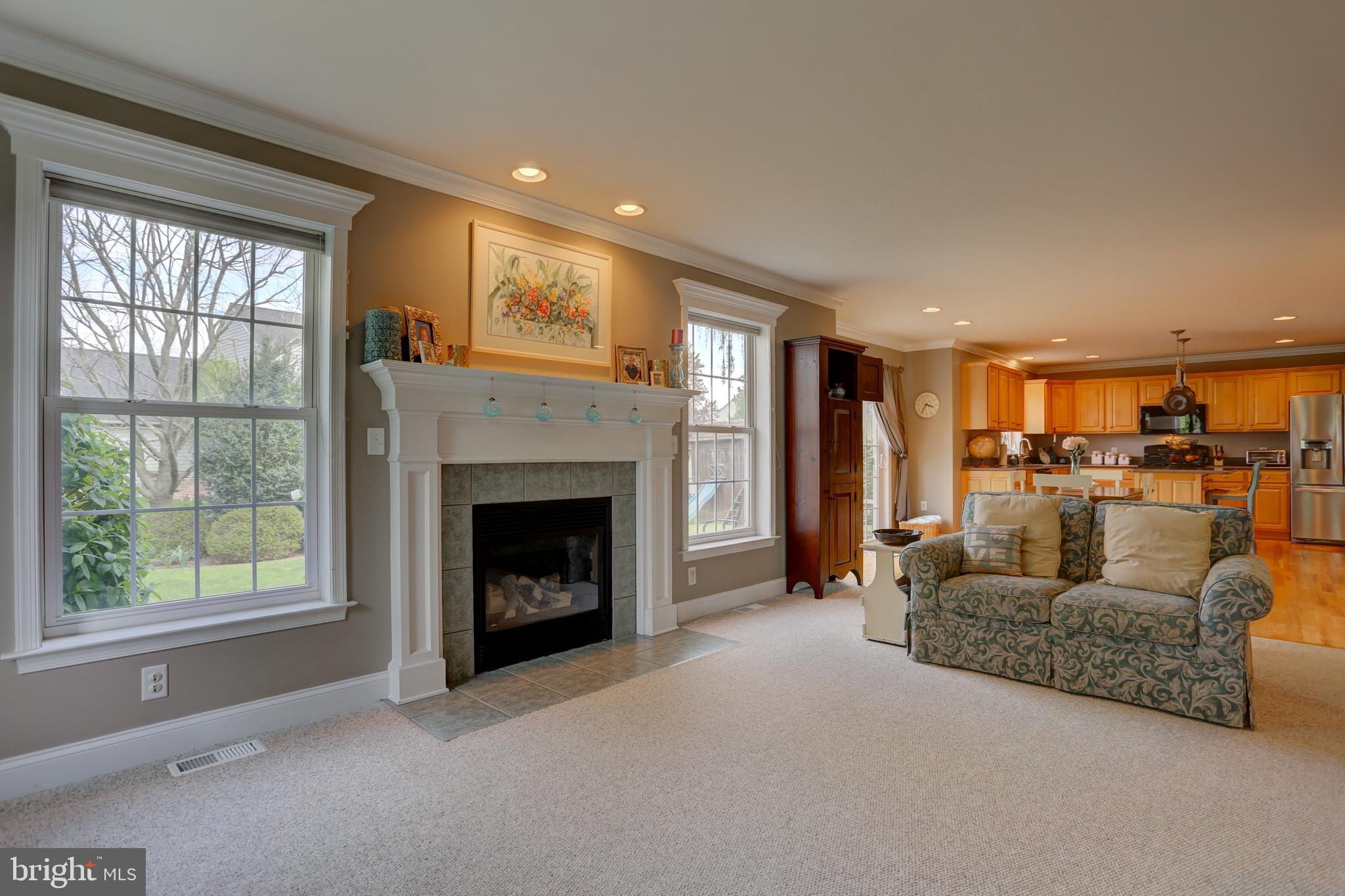 325 Chandlers Way Lititz, PA 17543 - Photo 20 of 50 Family Room