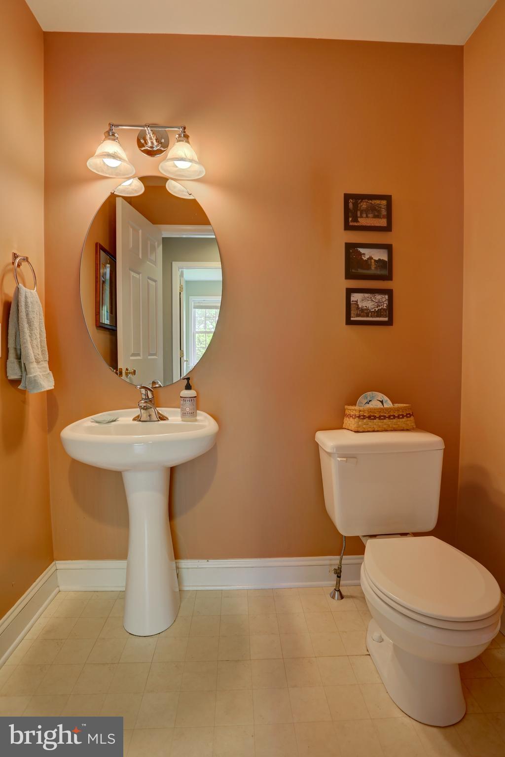 325 Chandlers Way Lititz, PA 17543 - Photo 23 of 50 First Floor Powder Room