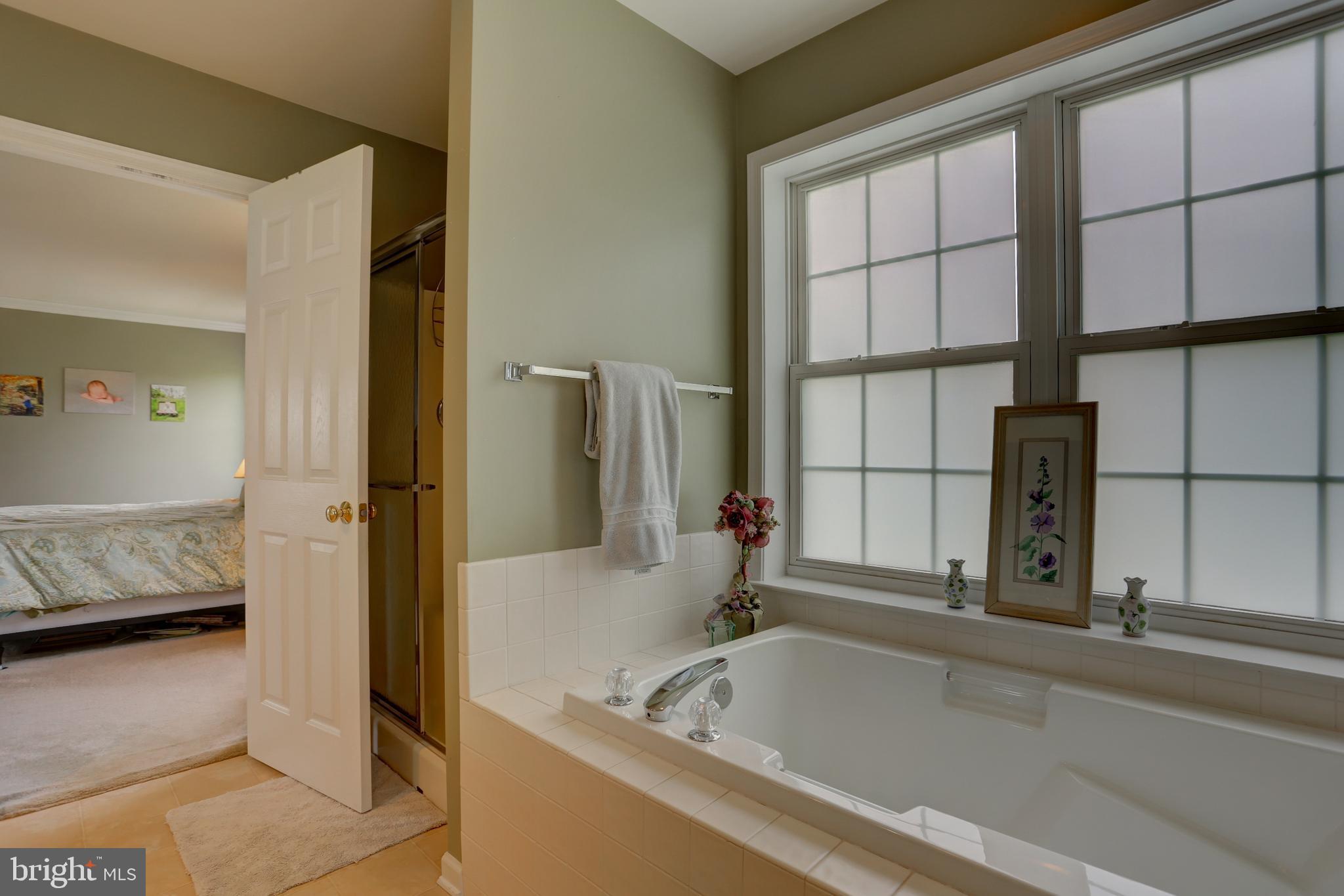 325 Chandlers Way Lititz, PA 17543 - Photo 26 of 50 Master Bathroom
