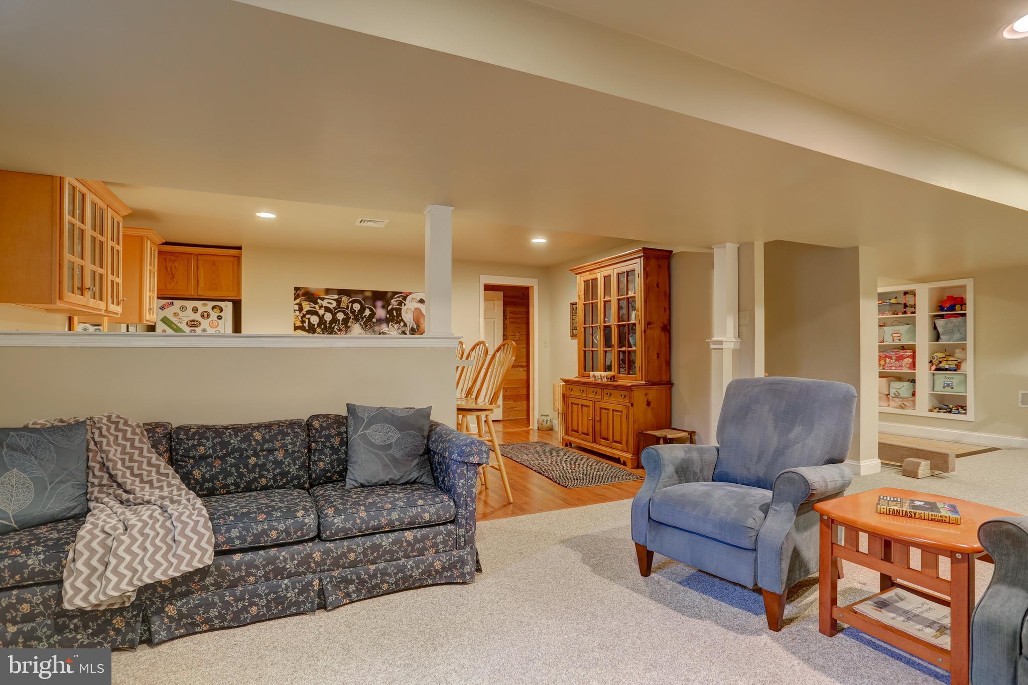 325 Chandlers Way Lititz, PA 17543 - Photo 34 of 50 LL Family Room