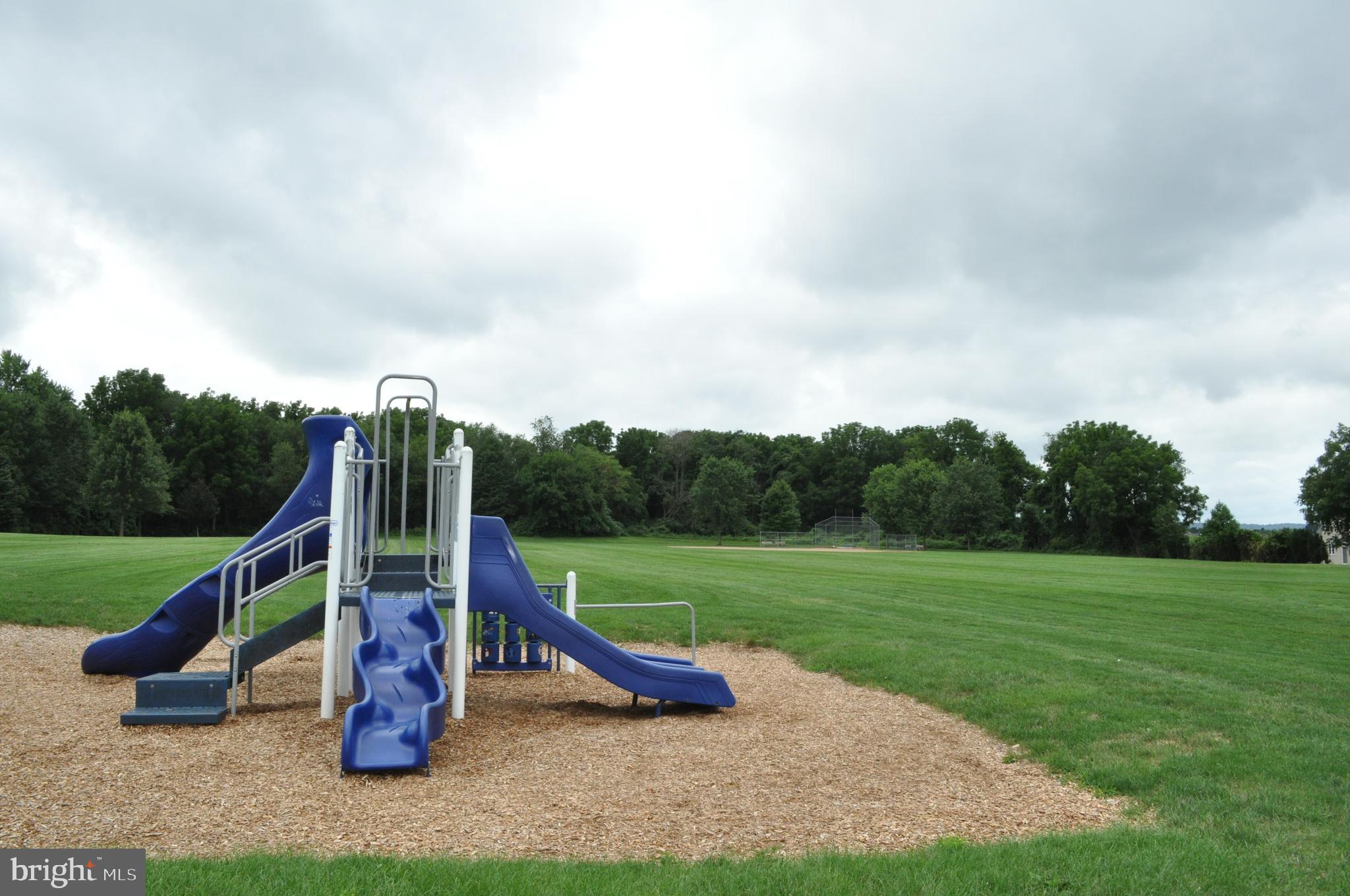 325 Chandlers Way Lititz, PA 17543 - Photo 50 of 50 Manheim Township Community Park 1/2 block away