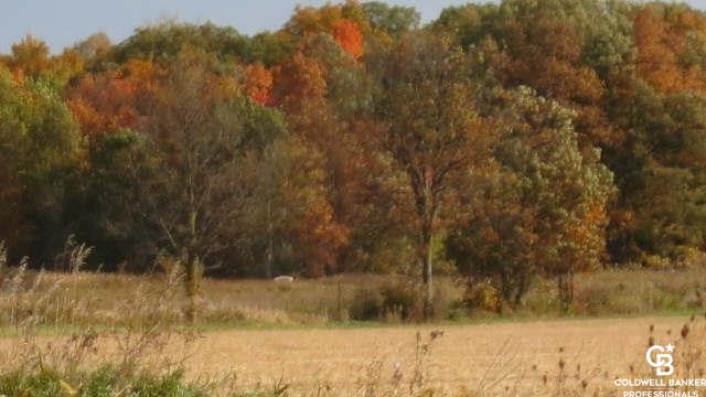 2360 North Kerby Road Corunna, MI 48817 - Photo 8 of 24 Gallery Image 8
