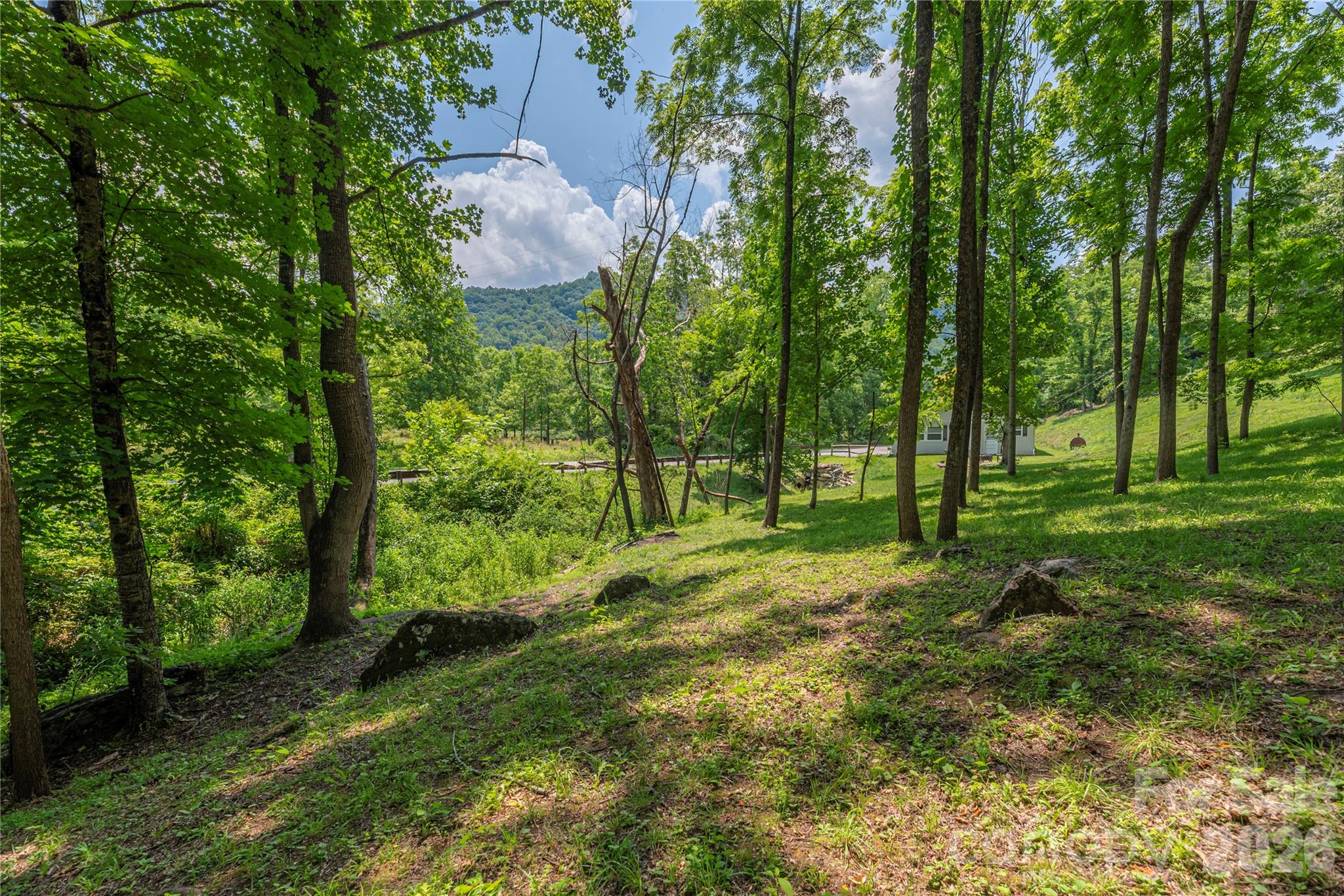 702 Love Joy Road Canton, NC 28716 - Photo 30 of 40