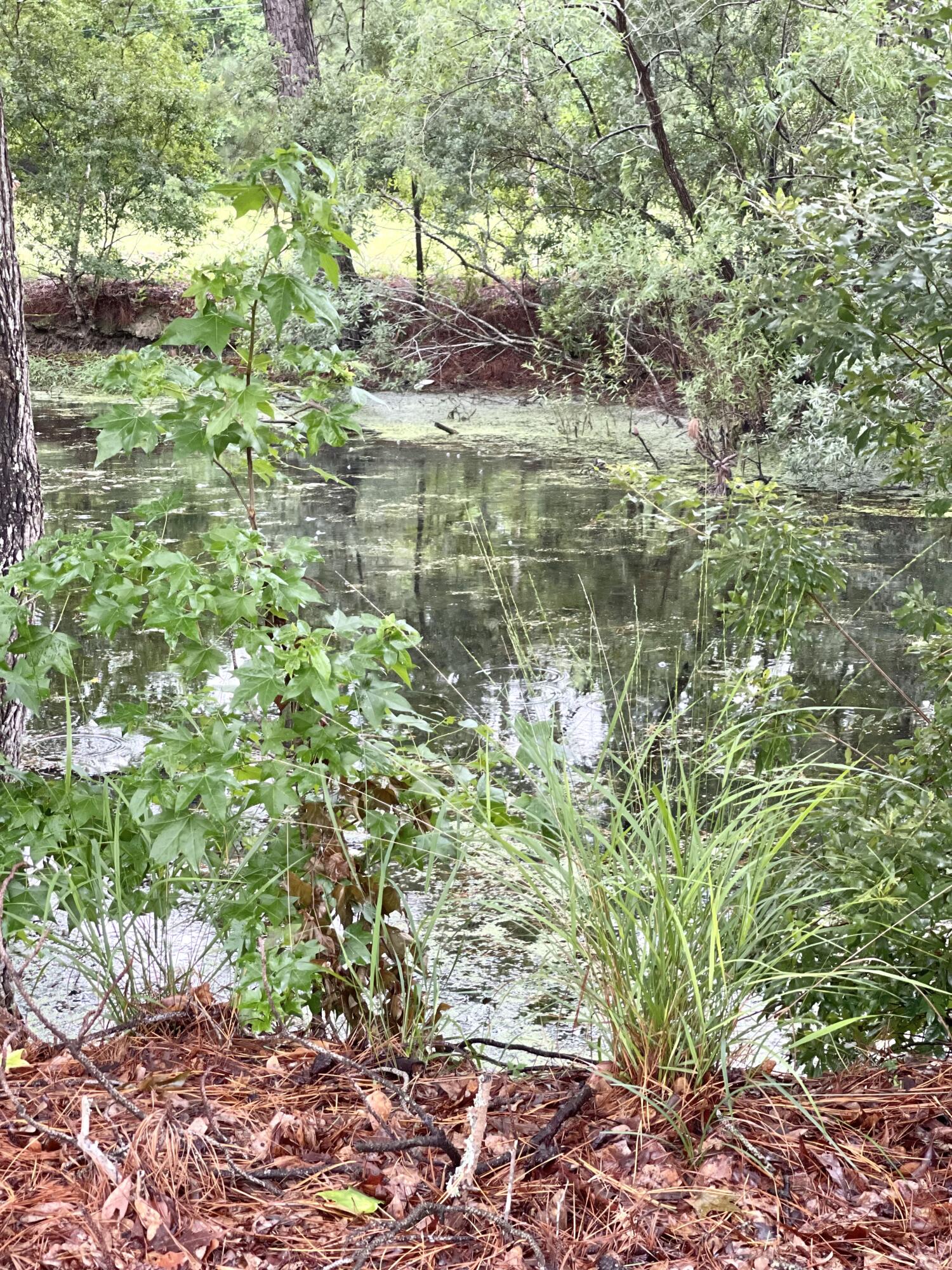 2148 Andover Way Mount Pleasant, SC 29466 - Photo 32 of 35 IMG_0077