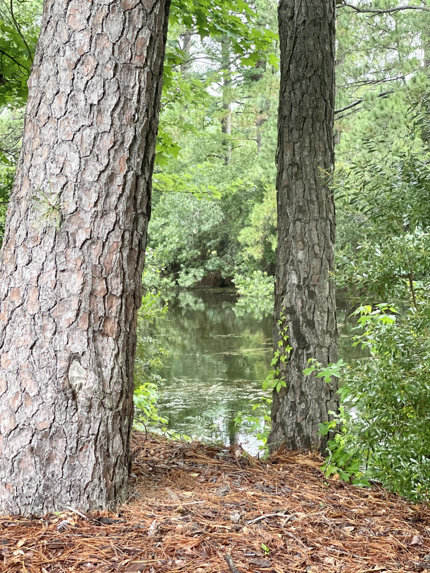 2148 Andover Way Mount Pleasant, SC 29466 - Photo 33 of 35 IMG_0076