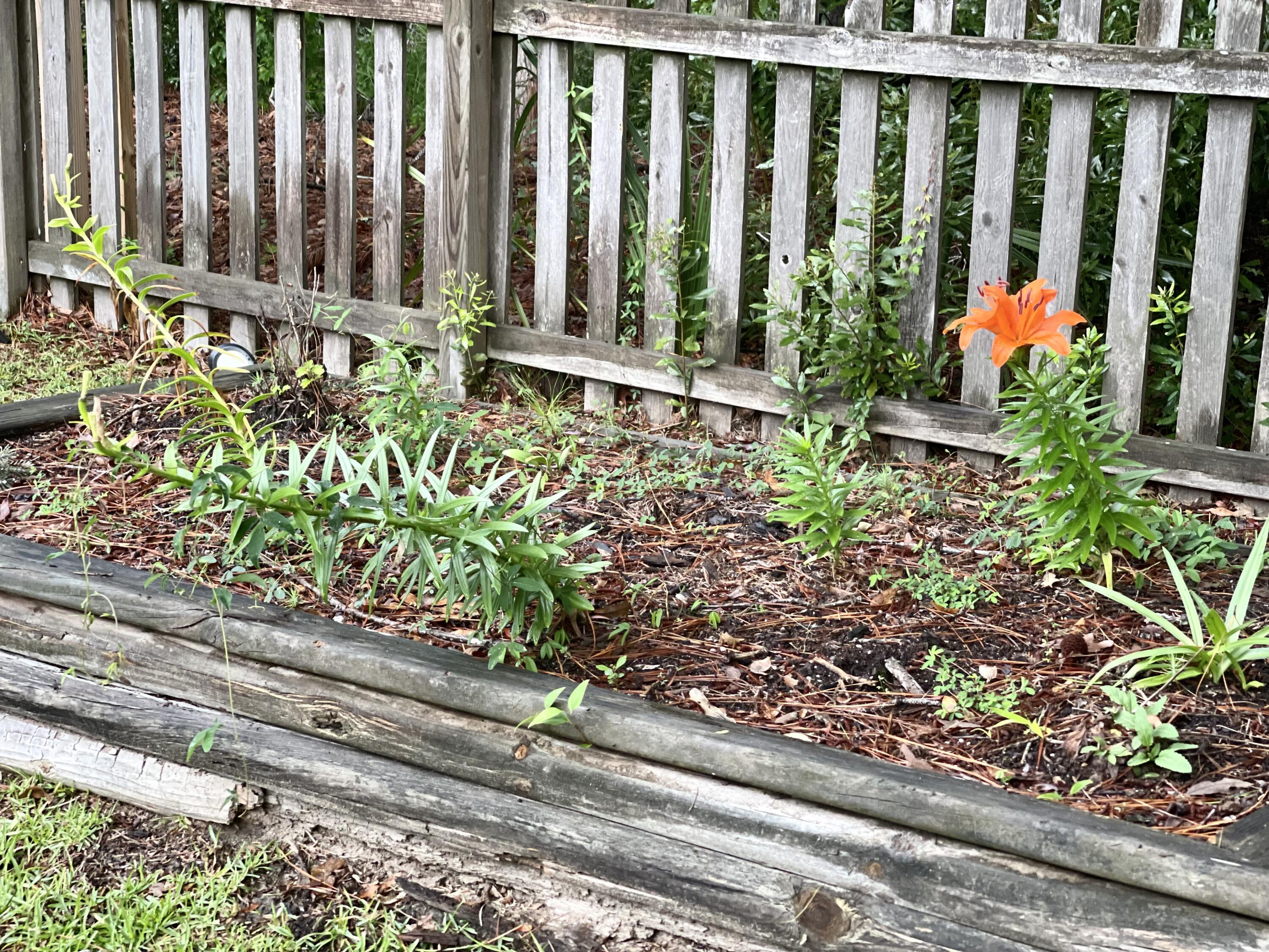 2148 Andover Way Mount Pleasant, SC 29466 - Photo 34 of 35 IMG_0075