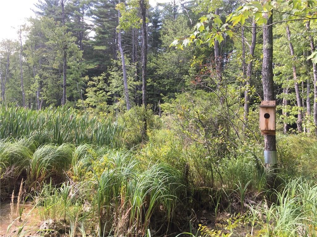 Lot 10 Brown Road East Baldwin, ME 04024 - Photo 18 of 20 Beautiful, high value wading bird...