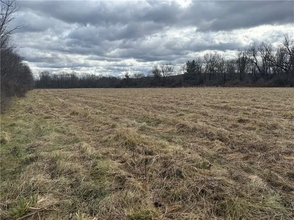 $165,000 | Caswell Road, Freeville, NY 13068