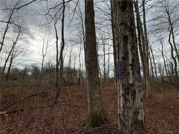 $165,000 | Caswell Road, Freeville, NY 13068