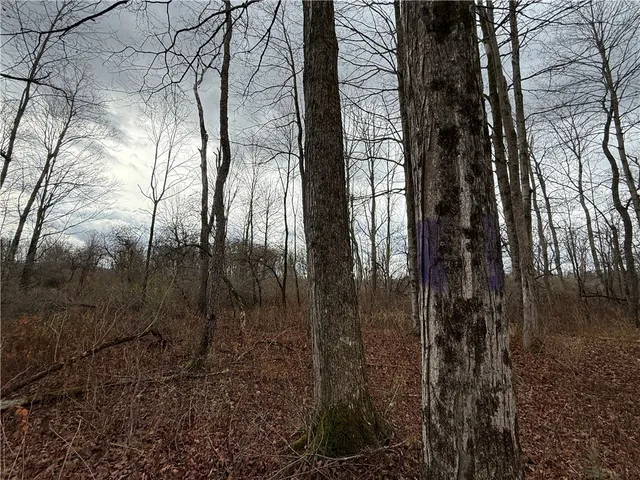 $165,000 | Caswell Road, Freeville, NY 13068