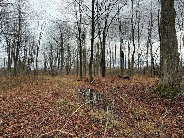 $165,000 | Caswell Road, Freeville, NY 13068