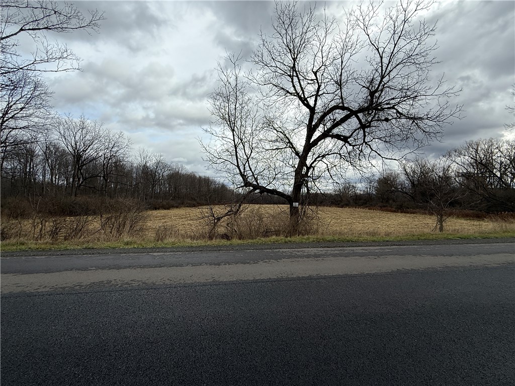 Caswell Road Freeville, NY 13068 - Photo 14 of 43