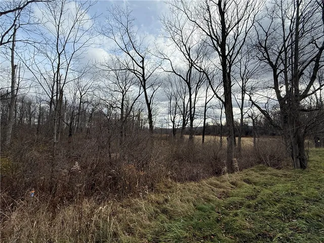 $165,000 | Caswell Road, Freeville, NY 13068