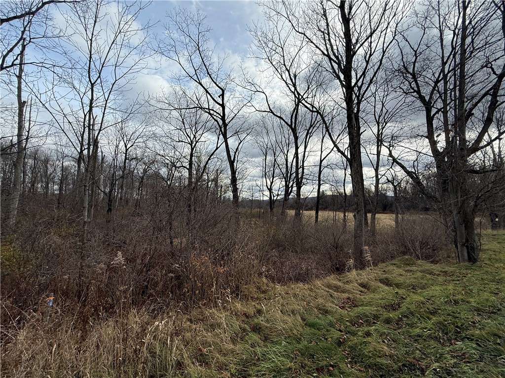 Caswell Road Freeville, NY 13068 - Photo 15 of 43