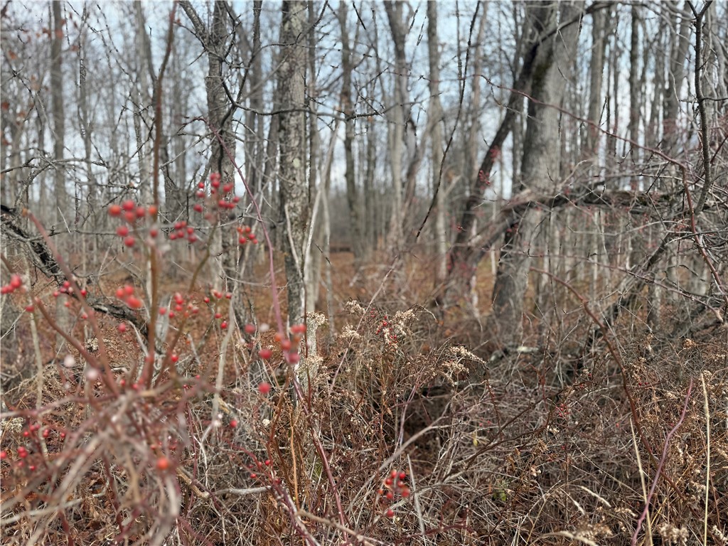 Caswell Road Freeville, NY 13068 - Photo 16 of 43