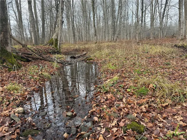 $165,000 | Caswell Road, Freeville, NY 13068