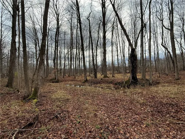 $165,000 | Caswell Road, Freeville, NY 13068