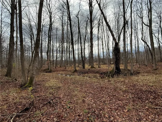 $165,000 | Caswell Road, Freeville, NY 13068