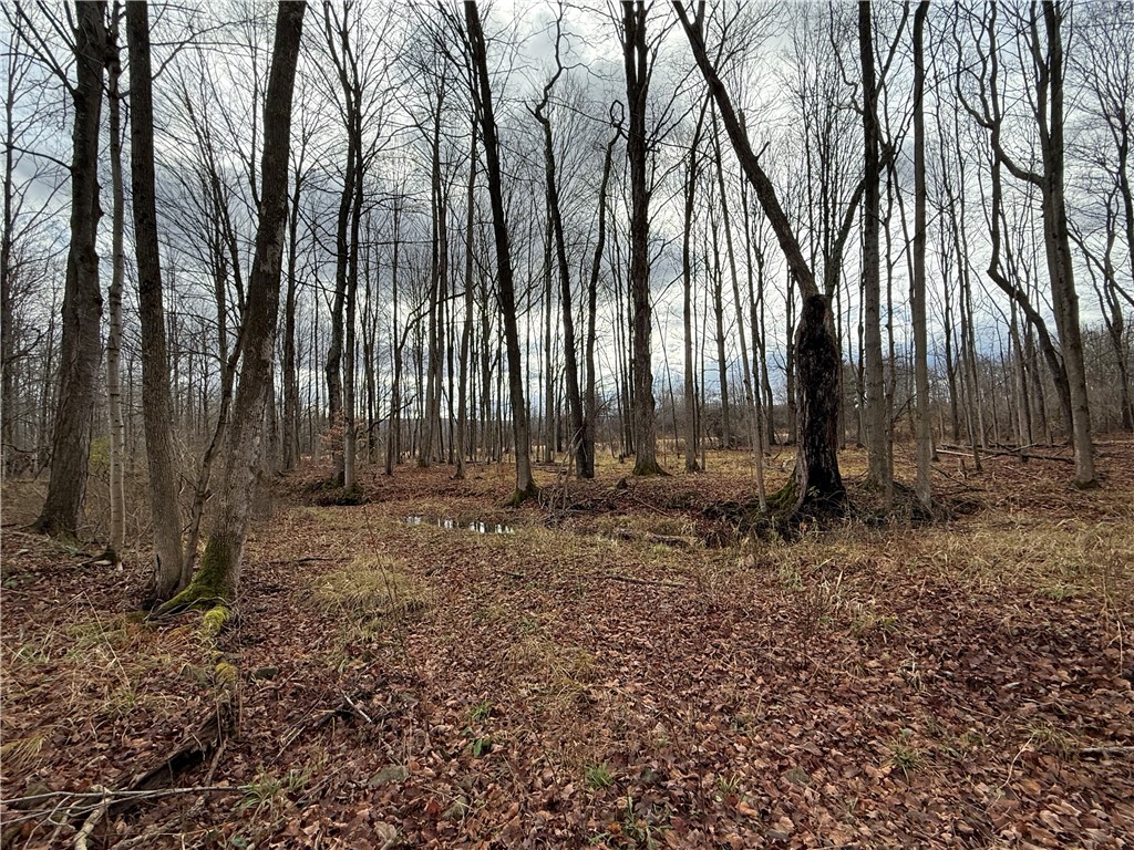 Caswell Road Freeville, NY 13068 - Photo 18 of 43