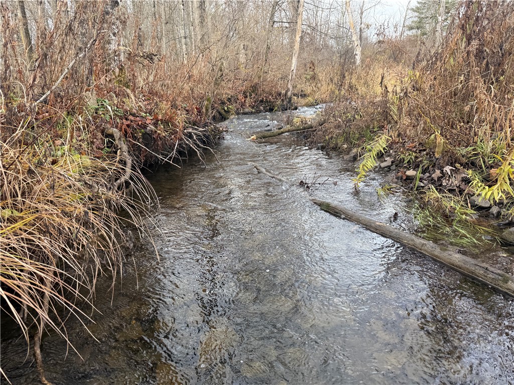 Caswell Road Freeville, NY 13068 - Photo 20 of 43