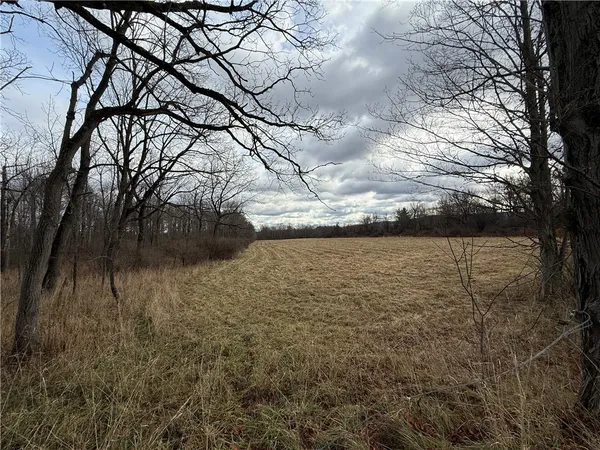 $165,000 | Caswell Road, Freeville, NY 13068