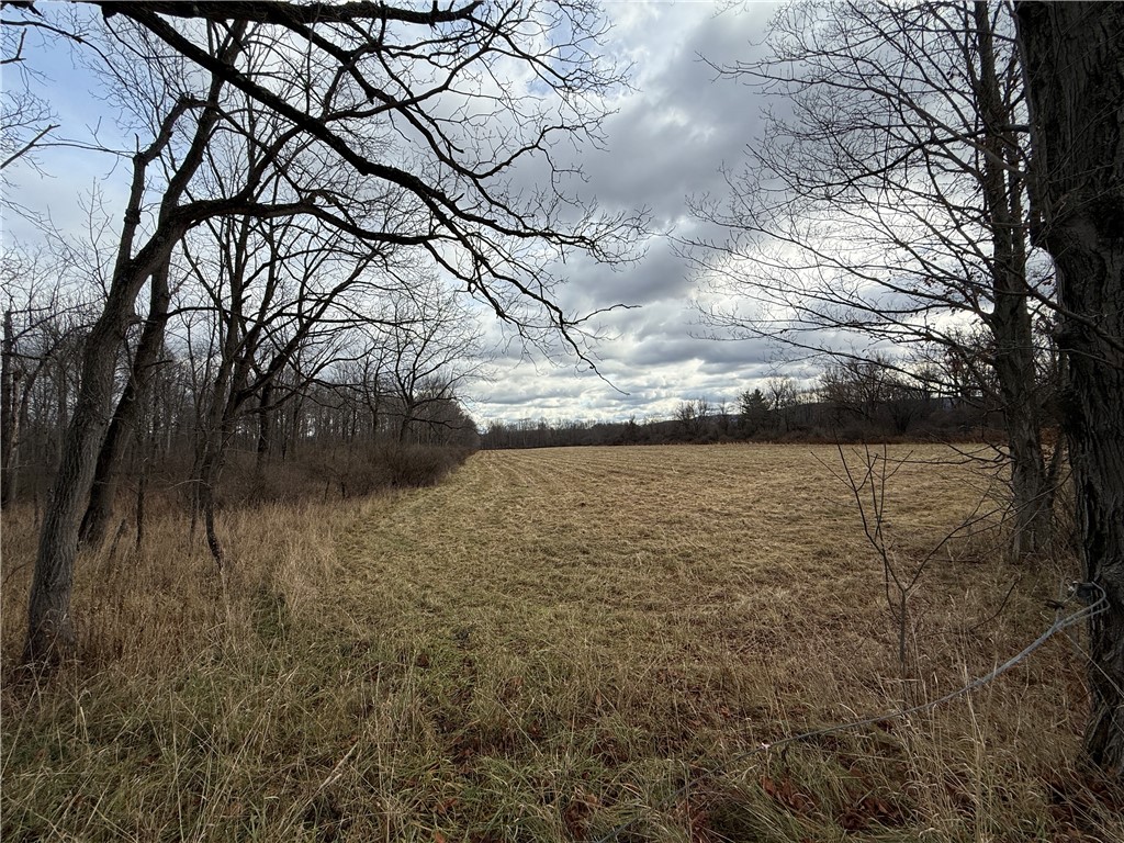 Caswell Road Freeville, NY 13068 - Photo 2 of 43