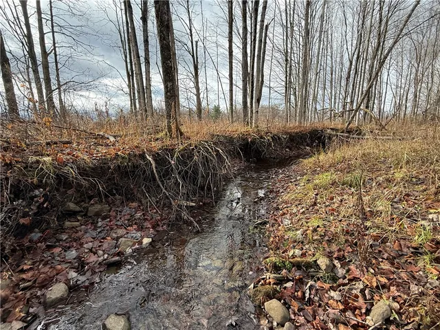 $165,000 | Caswell Road, Freeville, NY 13068