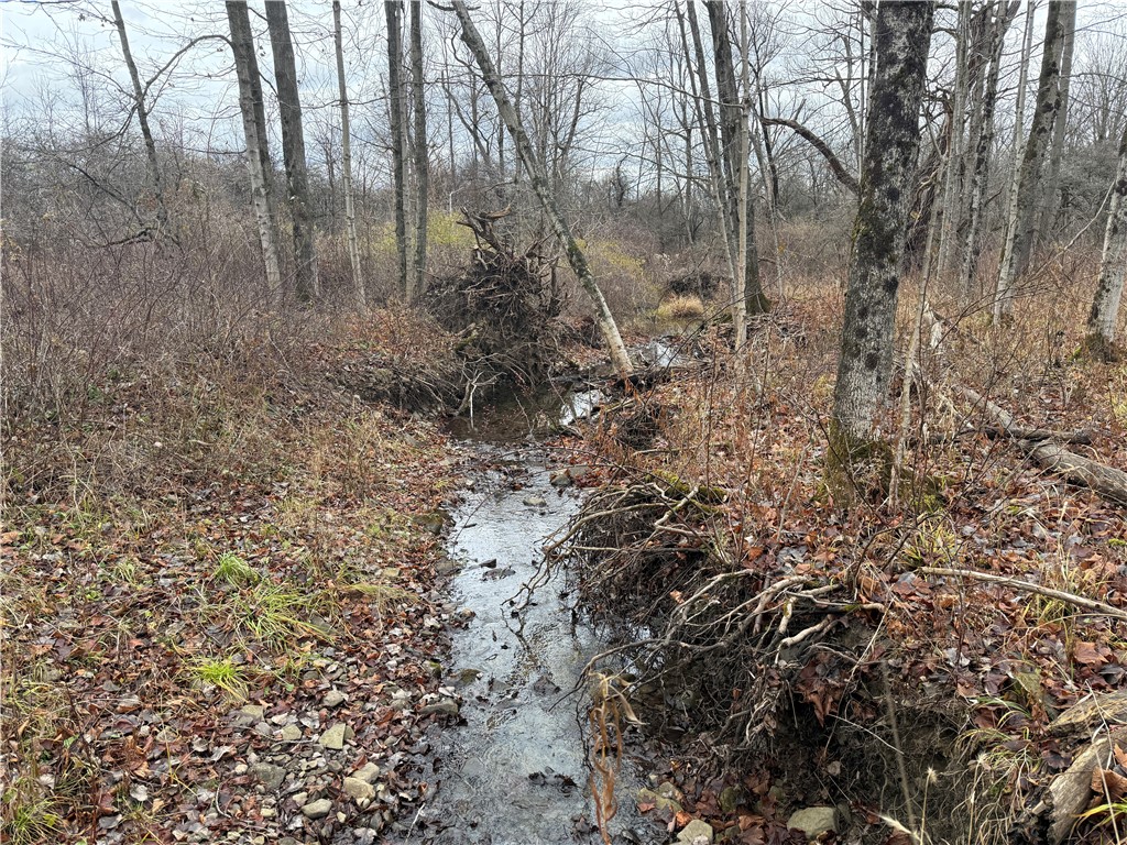 Caswell Road Freeville, NY 13068 - Photo 24 of 43