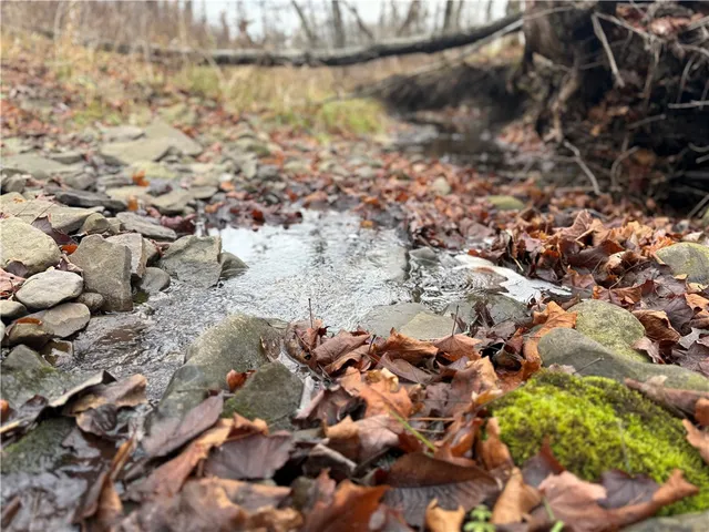 $165,000 | Caswell Road, Freeville, NY 13068