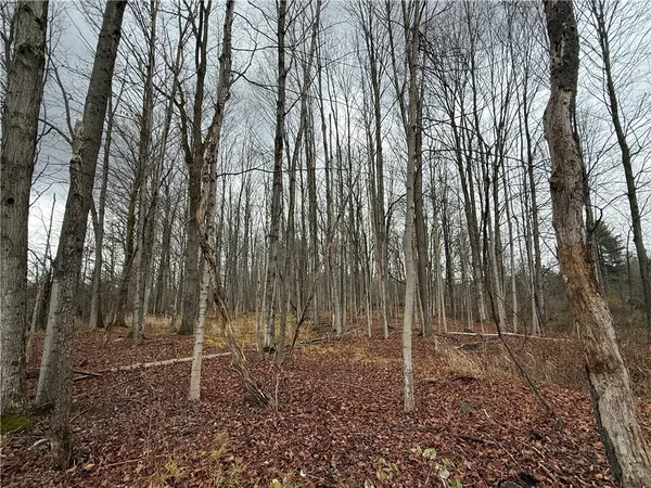 $165,000 | Caswell Road, Freeville, NY 13068