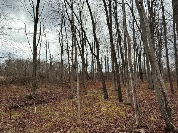 $165,000 | Caswell Road, Freeville, NY 13068