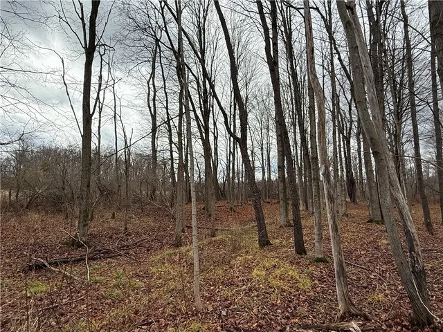 $165,000 | Caswell Road, Freeville, NY 13068