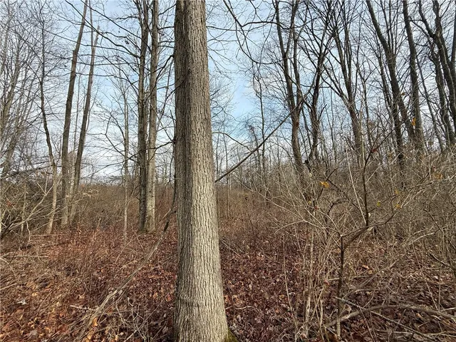 $165,000 | Caswell Road, Freeville, NY 13068