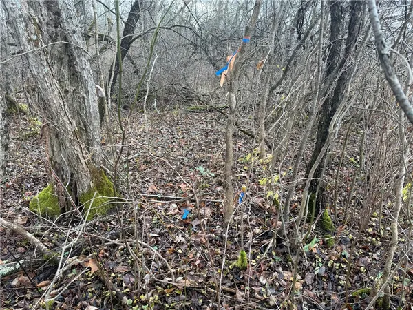 $165,000 | Caswell Road, Freeville, NY 13068