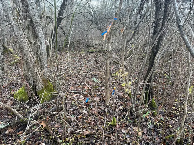 $165,000 | Caswell Road, Freeville, NY 13068