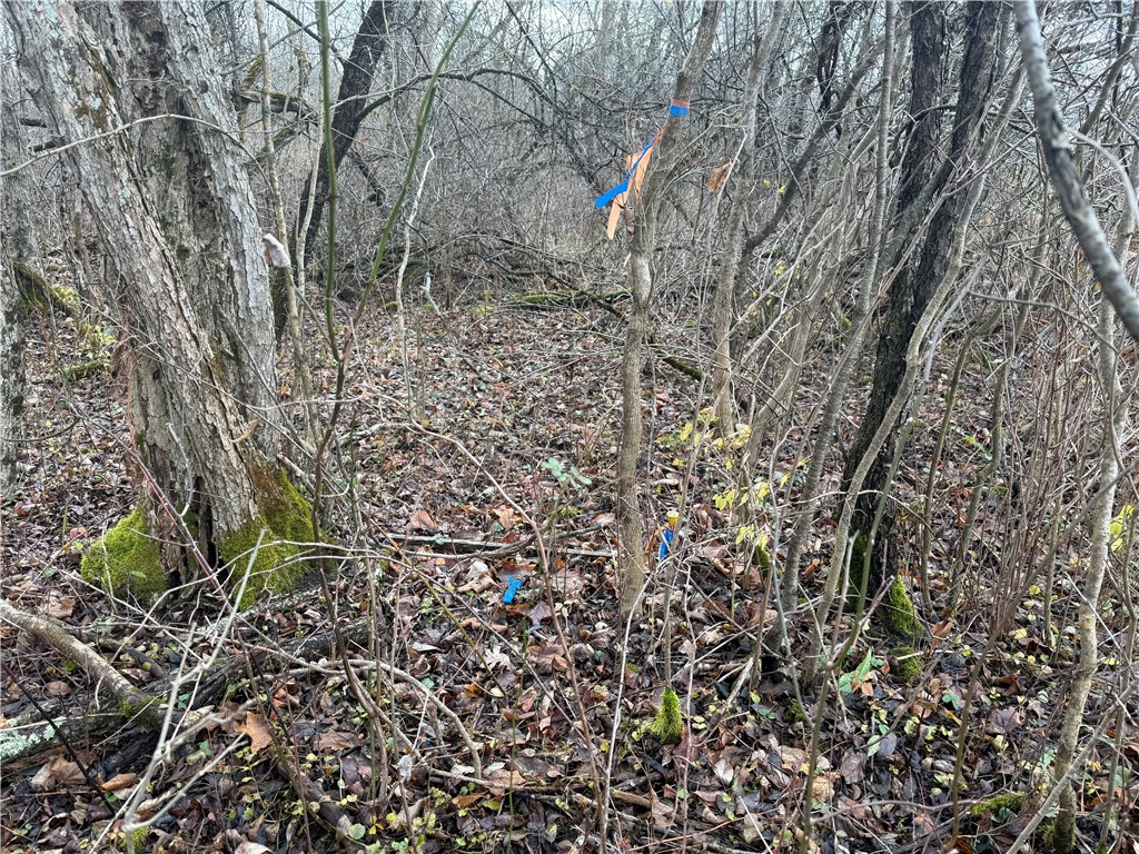 Caswell Road Freeville, NY 13068 - Photo 29 of 43