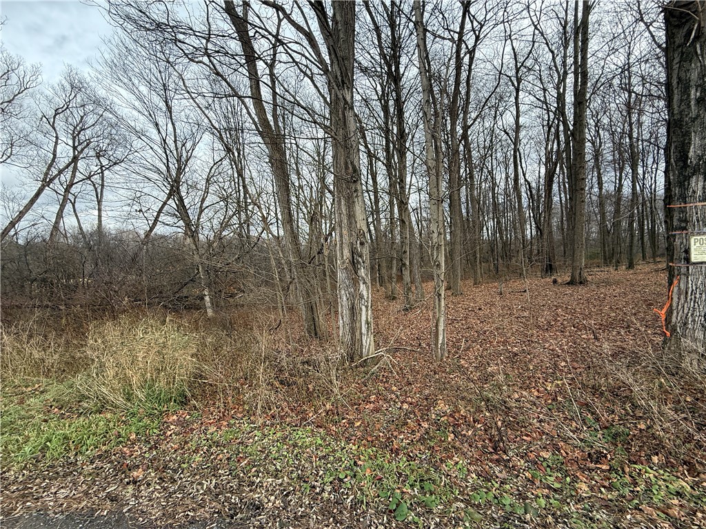 Caswell Road Freeville, NY 13068 - Photo 31 of 43