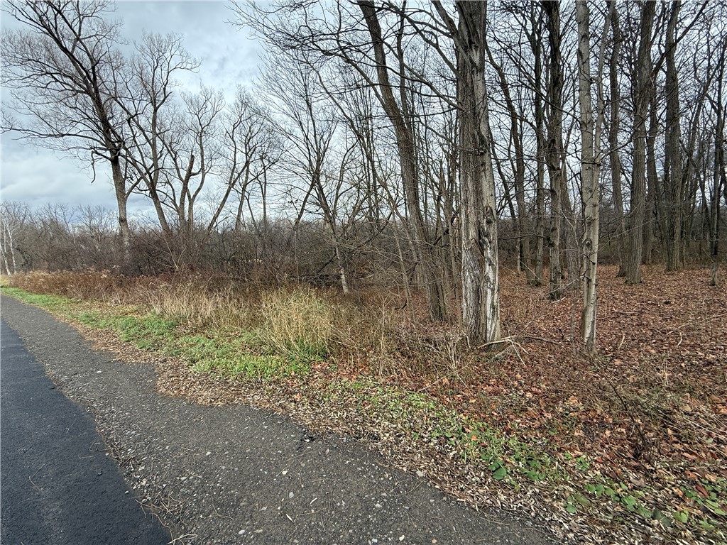 Caswell Road Freeville, NY 13068 - Photo 32 of 43