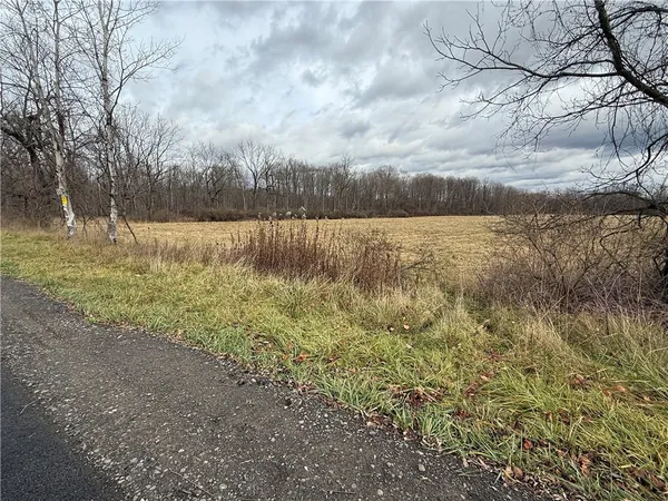 $165,000 | Caswell Road, Freeville, NY 13068