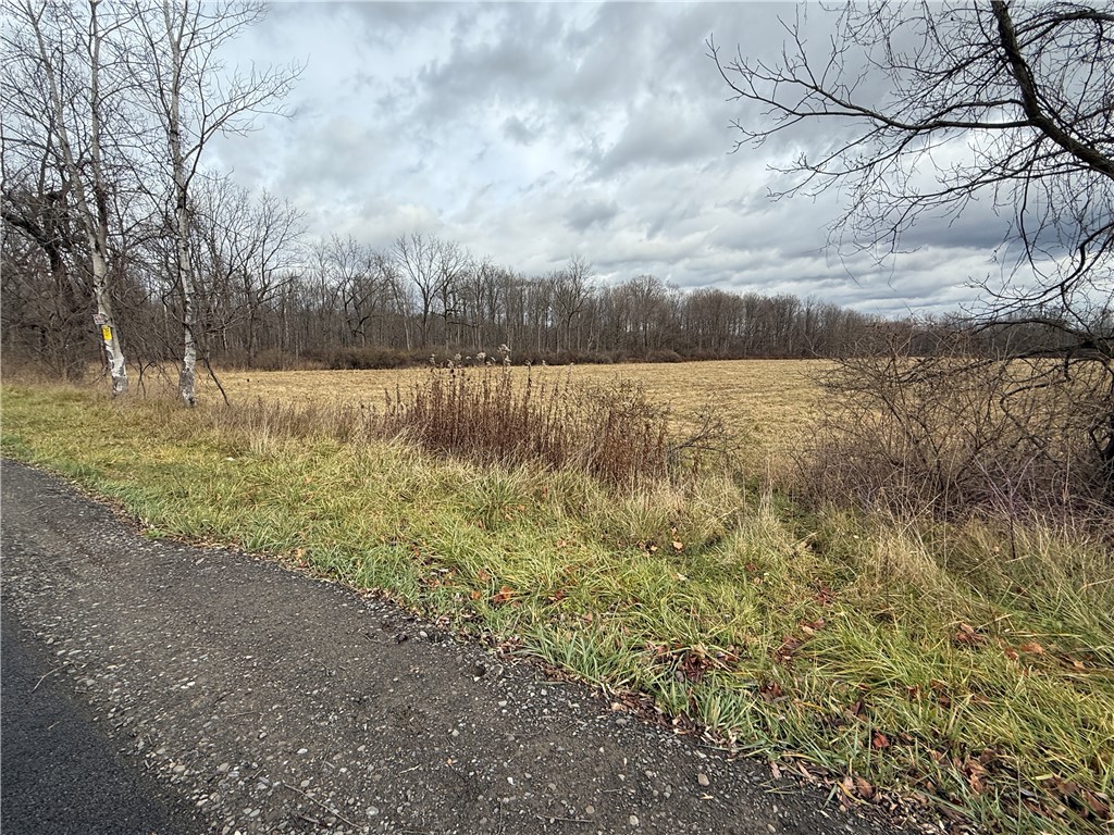 Caswell Road Freeville, NY 13068 - Photo 33 of 43