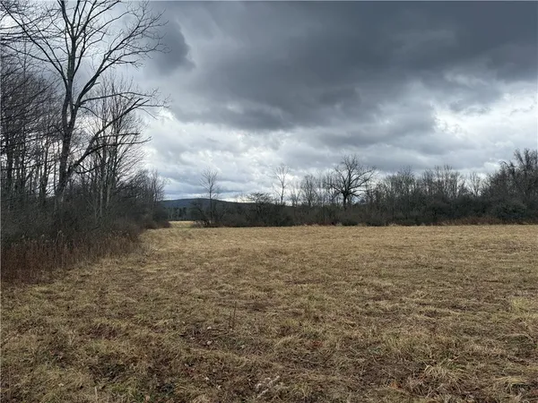 $165,000 | Caswell Road, Freeville, NY 13068