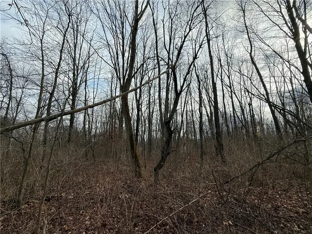 $165,000 | Caswell Road, Freeville, NY 13068