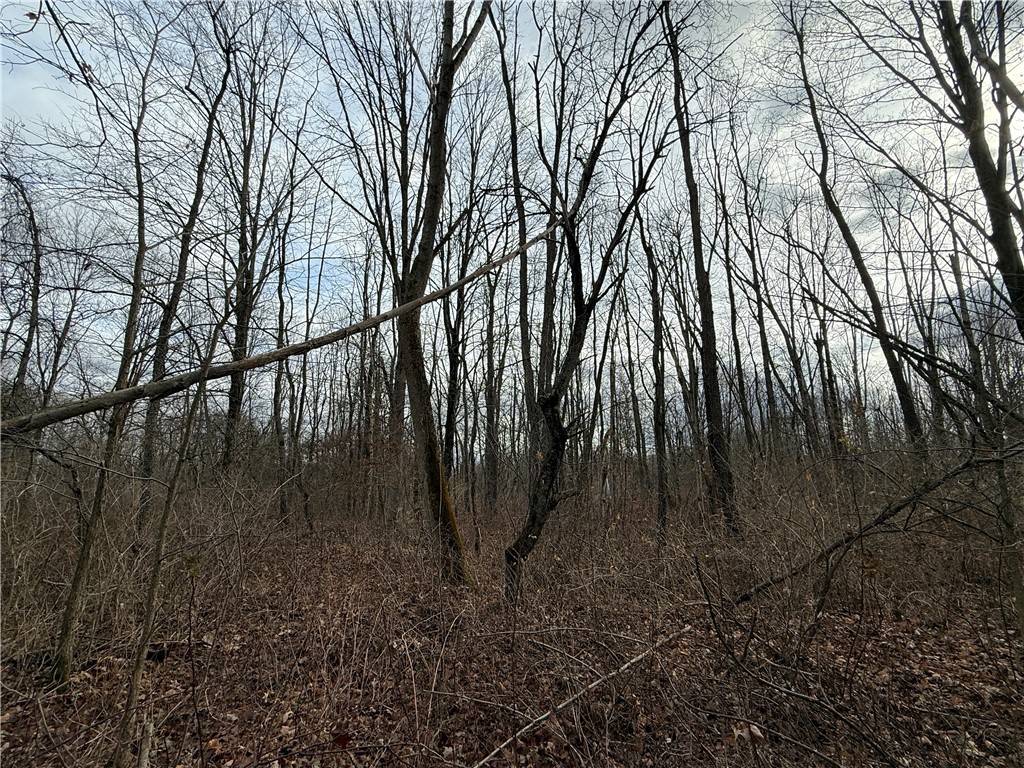 Caswell Road Freeville, NY 13068 - Photo 38 of 43