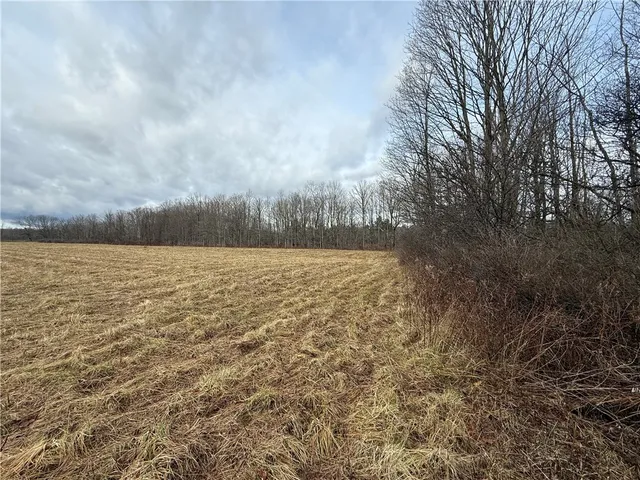 $165,000 | Caswell Road, Freeville, NY 13068