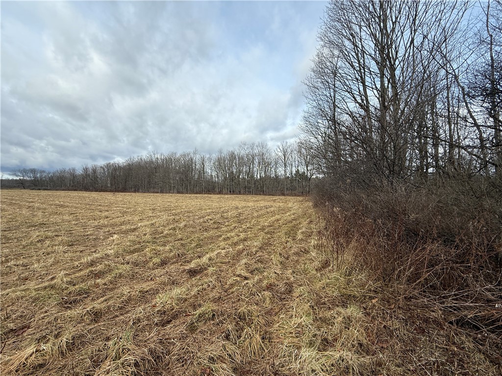 Caswell Road Freeville, NY 13068 - Photo 39 of 43