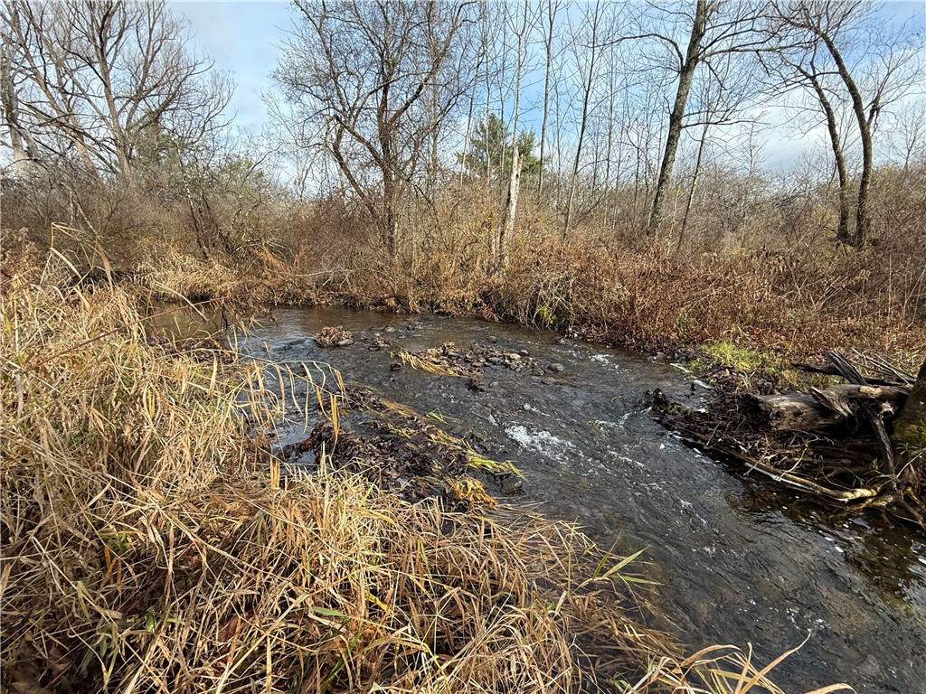 Caswell Road Freeville, NY 13068 - Photo 4 of 43