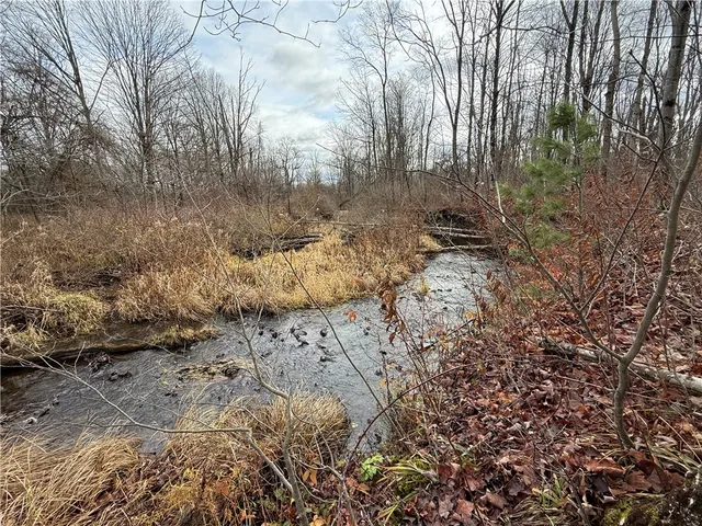 $165,000 | Caswell Road, Freeville, NY 13068