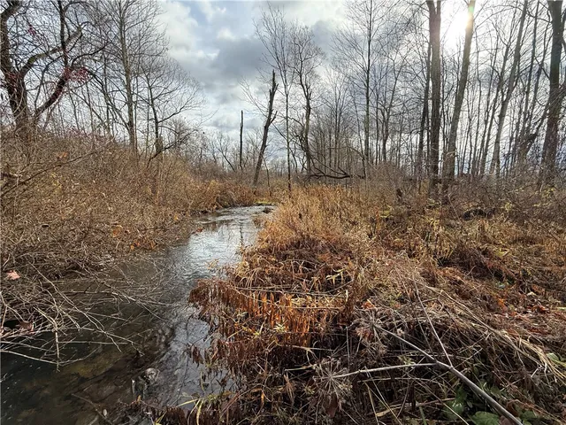 $165,000 | Caswell Road, Freeville, NY 13068