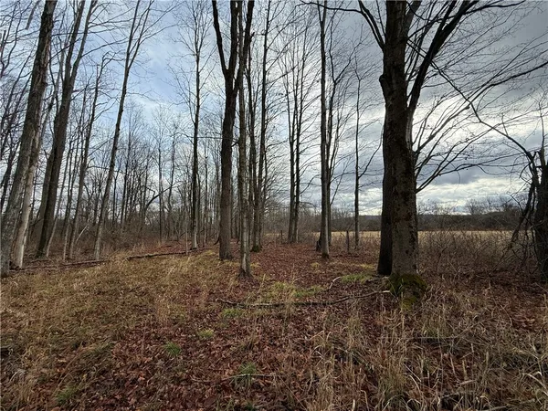 $165,000 | Caswell Road, Freeville, NY 13068